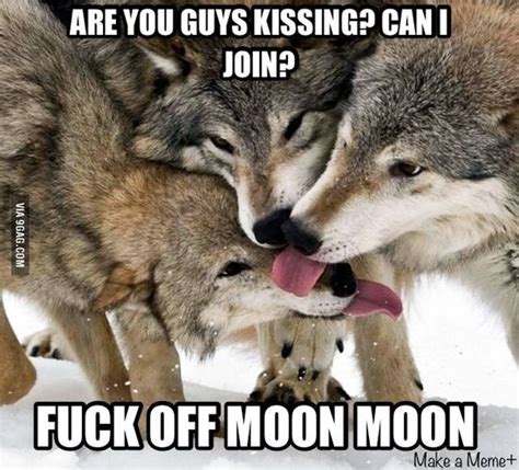 kissing meme|More.